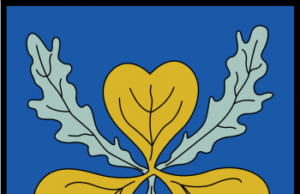 DKM Bismarck 1/700 Flyhawk