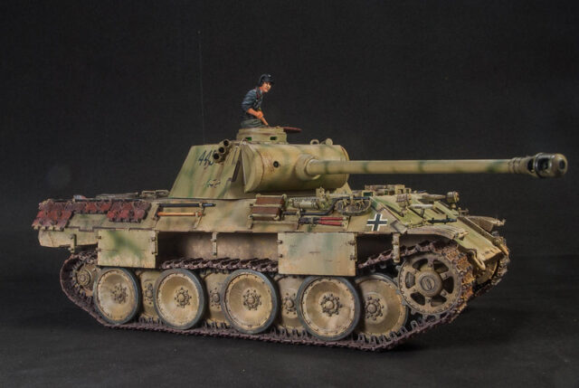 Panther D