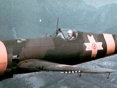 IAR-80