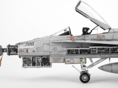 F-18 Red Devils