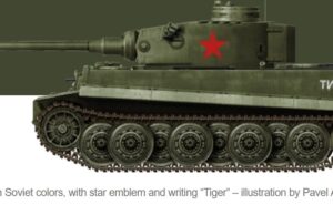 Tiger I variantes especiales