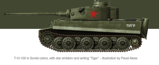 Tiger I variantes especiales