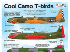 Cool camo T-Birds