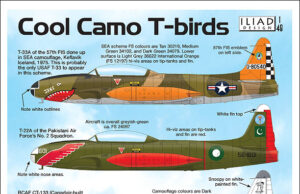Cool camo T-Birds