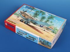 P-40 N Warhawk “Island Warriors”