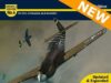 P-51 iniciales