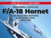 F/A 18 Hornet