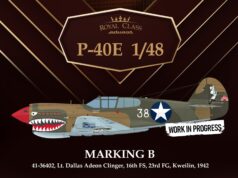 P40 E