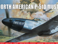 P-51 D Mustang