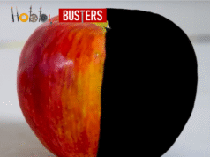 HOBBYBUSTERS: ¡El negro más NEGRO!