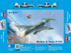 Blohm & Voss P.193