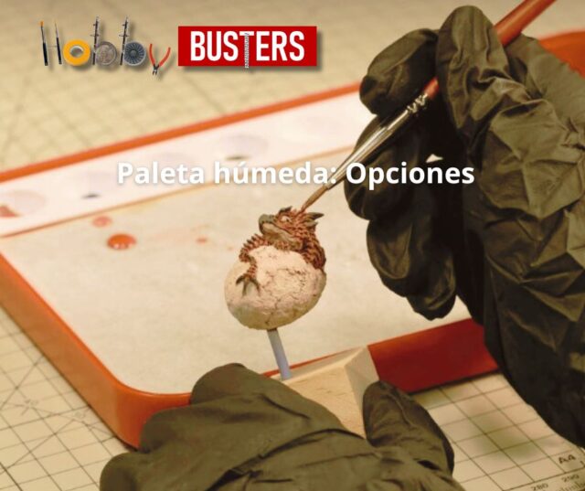 ¿Qué es la paleta húmeda?