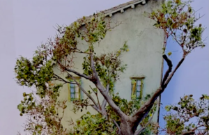 Si ud. no lo ve, entonces los Aliados tampoco